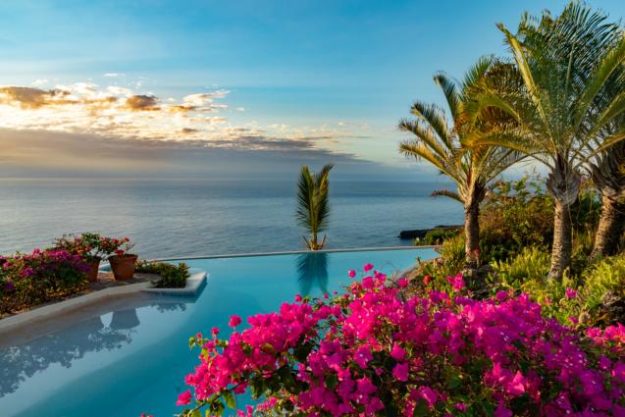The 8 Best Poolside Plants to Thrive in Brisbane’s Climate The 8 Best Poolside Plants to Thrive in Brisbane's Climate