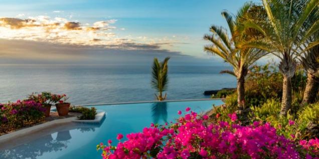 The 8 Best Poolside Plants to Thrive in Brisbane’s Climate The 8 Best Poolside Plants to Thrive in Brisbane's Climate